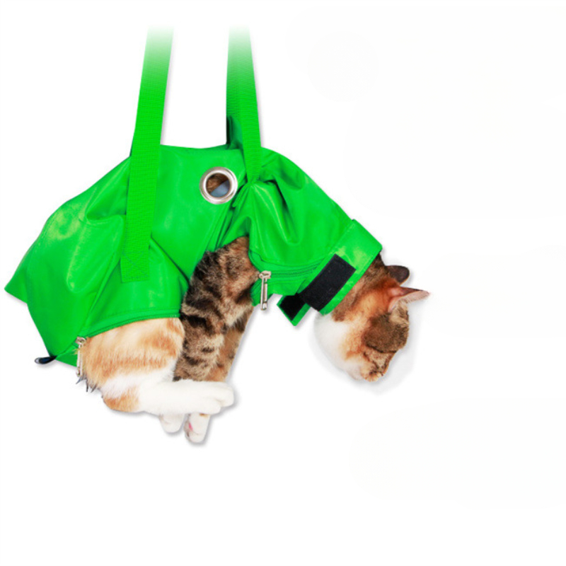 Portable Cat Backpack Pet Summ - Foldable Backpack Small のレビューと価格